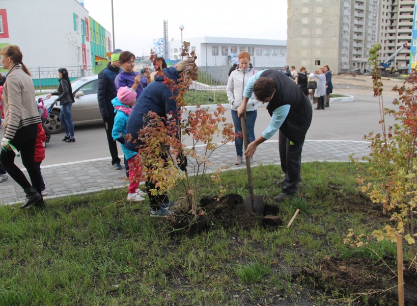 Жители Спутника приняли участие в акции «Посади свое дерево»