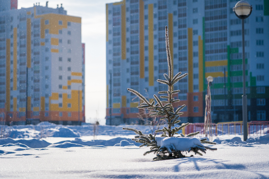 Город Спутник подтвердил статус экологически чистого микрорайона